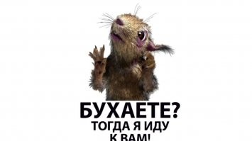 Едем к Белке, шеф!