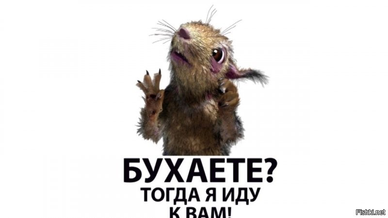 Едем к Белке, шеф!