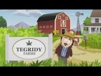 Долина чудная долина: в Мичигане грузовик снёс стену и засветил плантацию конопли