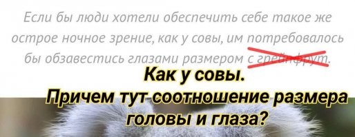 Дикие факты, которые не хочется знать и невозможно забыть