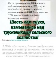 Дикие факты, которые не хочется знать и невозможно забыть