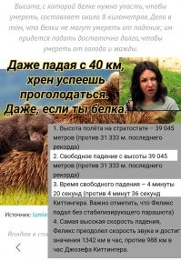 Дикие факты, которые не хочется знать и невозможно забыть