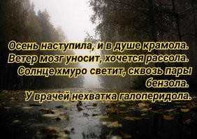 Томские МЧСники спасли местного человека-паука