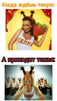 Белки минусят?