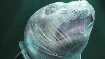 По мне так лучший снимок океана вот этот: