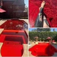 Бассейн семейки Аддамсов