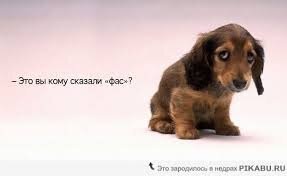Заходи...Улыбнись
