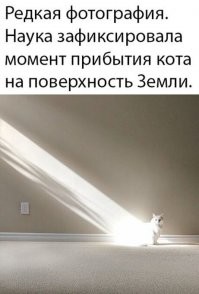 Естественно!