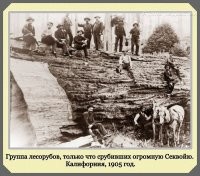 Ублюдки и мародёры. История омериги.