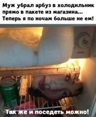 Да фиг с ней, с мордой на пакете. Что с морозилкой ? Он вообще знают о разморозке ?