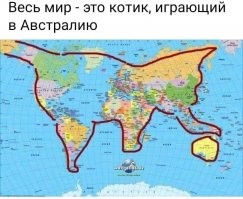 Без кота и жизнь не та, а с котом?