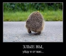 Смешные комментарии из социальных сетей - 2