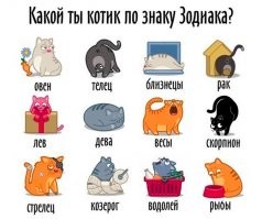 Вначале подумал : хрень какая то... а потом: и вправду так! Как говорится: "Шило в жопе не утаишь"...

Ну и к теме:
