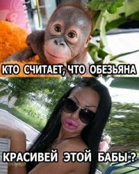 наоборот надо писать кто считает что эта девочка ,симпотичнее этой обезьяны.
