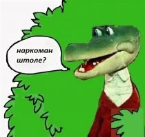 Смешные и познавательные картинки