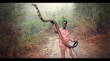 Это еще маленькая! "детеныш" любопытный )))) А вот такие прямо в "глаза" смотреть будут )))