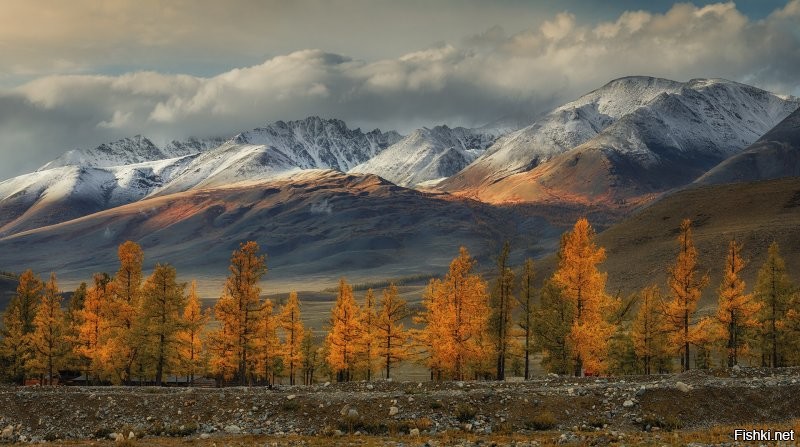 Осень на Алтае ...