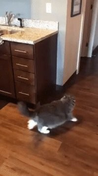 Не этому и так норм, надо этому