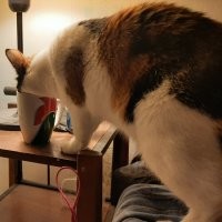 Поставил себе водички. Через 10 секунд...