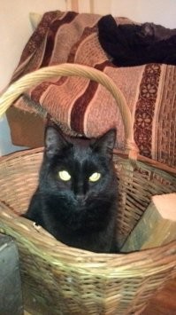 такоеже доброе)))