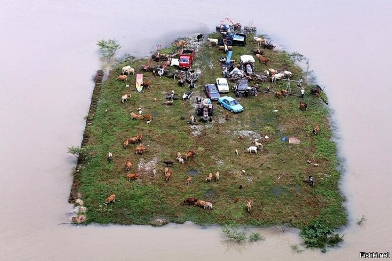 Афтор читателей совсем за дибилов держит? Так мы и поверили что люди живут на острове прямо с машинами и трактором. Только вот зачем они на острове? Ясен перец что это тупо наводнение и люди забрались повыше.