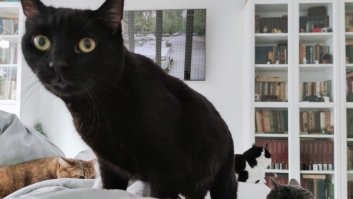 Наше "доброе утро" :)