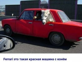 Конокрад умудрился уместить живую лошадь на заднем сидении легковушки