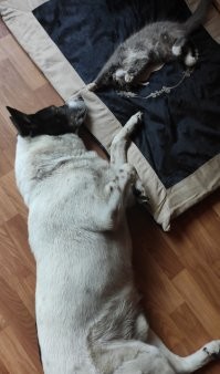 Ну и моя парочка.