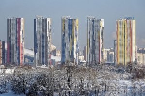 Человейники начали убивать хозяев.