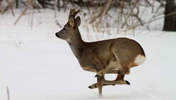 Авария дня. Пьяный водитель Mercedes устроил жуткое ДТП