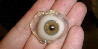 вот они, глаза из плекса