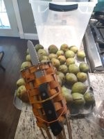 А чем магазинные плодосборники не устраивают?