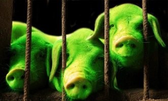 Южная Корея, взгляд со стороны