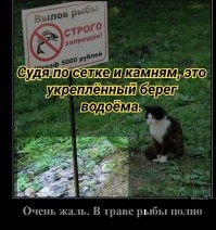 Калейдоскоп позитивных демотиваторов и картинок