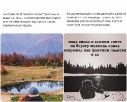 "Мы издали такой ультразвук!": в окрестностях Сочи медведь напал на туристов
