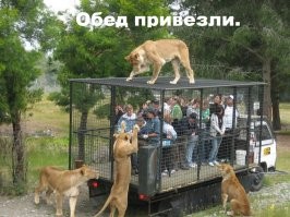 Фотоподборка