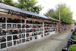 Давно уже пора законодательно кремацию сделать. Никаких могил. Красивые аккуратные аллеи-колумбарии лучше тоскливых и печальных разномастных кладбищ.
Но похоронная мафия лоббирует жёстко свои интересы.