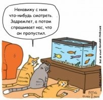 Смешные и познавательные картинки