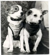 Сейчас автоматика и дистанционное управление ещё круче.