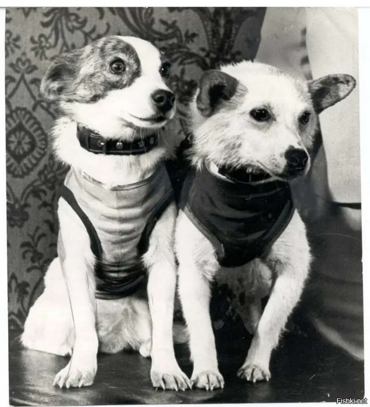 Сейчас автоматика и дистанционное управление ещё круче.