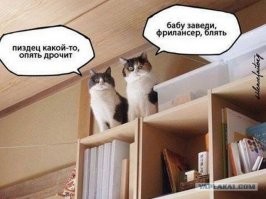 Смешные и познавательные картинки