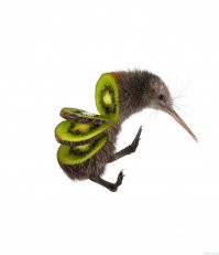 19 фотографий, которые показывают внутреннюю составляющую разных вещей