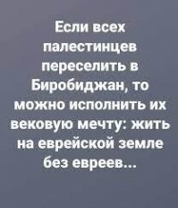 Мамкин революционер: палестинец поджег себя, пытаясь закинуть коктейль Молотова на израильский КПП