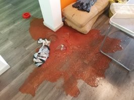 Решил отфильтровать 9 литров клубничного ликера, но вдруг что-то пошло не так!!!
Когда ждал супругу, что-то очень сильно напомнило ожидание родителей с родительского собрания в школе...