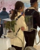 с точки зрения протеста - мол хватить вырубать леса, ну мб ок. с точки зрения сможет ли растение переварить их углекислый газ - нет. =) маловато