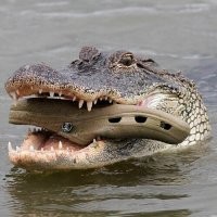 Почти по Чуковскому:
А потом позвонил
Крокодил
И со слезами просил:
  Мой милый, хороший,
Пришли мне калоши,
И мне, и жене, и Тотоше.

  Постой, не тебе ли
На прошлой неделе
Я выслал две пары
Отличных калош?
  Ах, те, что ты выслал
На прошлой неделе,
Мы давно уже съели...