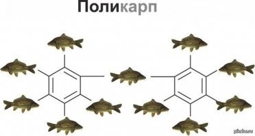 50 странных фотографий из серии "Ничего не понятно, но очень интересно"