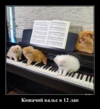 И три хвоста еще