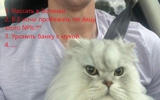 Такие разные эмоции домашних животных, оказавшихся у ветеринара