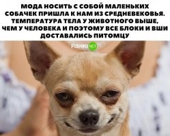 а еще если ты не мытый и воняешь,можно сослаться на псину.